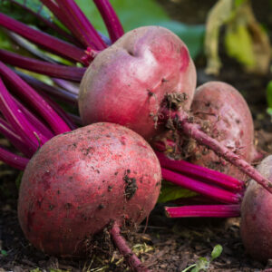 The Suprising Vegetables You Can Grown in Your Own Garden!